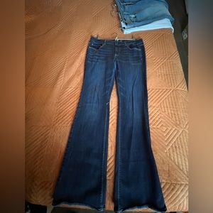 American Eagle Artist Jean